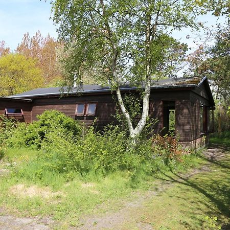 Huisje Vogelsand 't Horntje Buitenkant foto